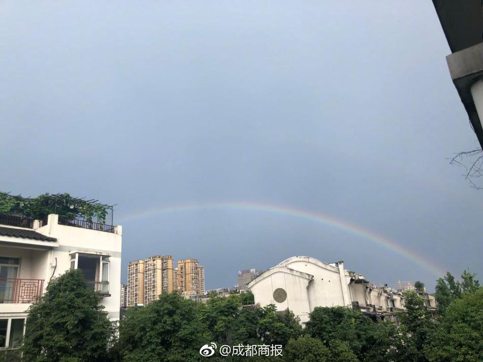 韩国高清论理片一级片