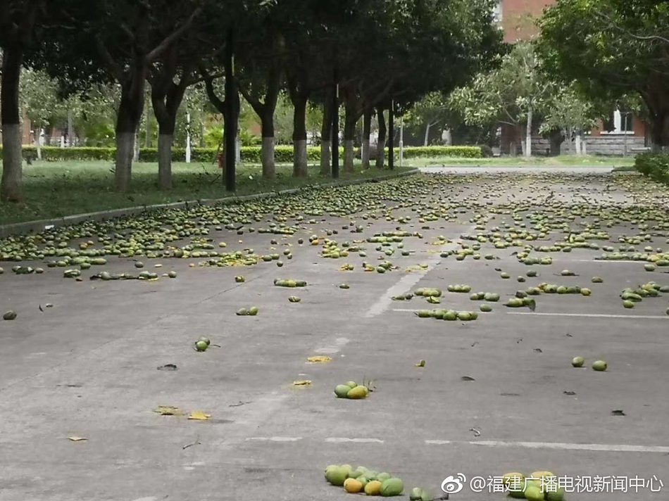 农村大炕操逼