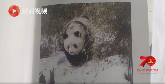 輪流內射