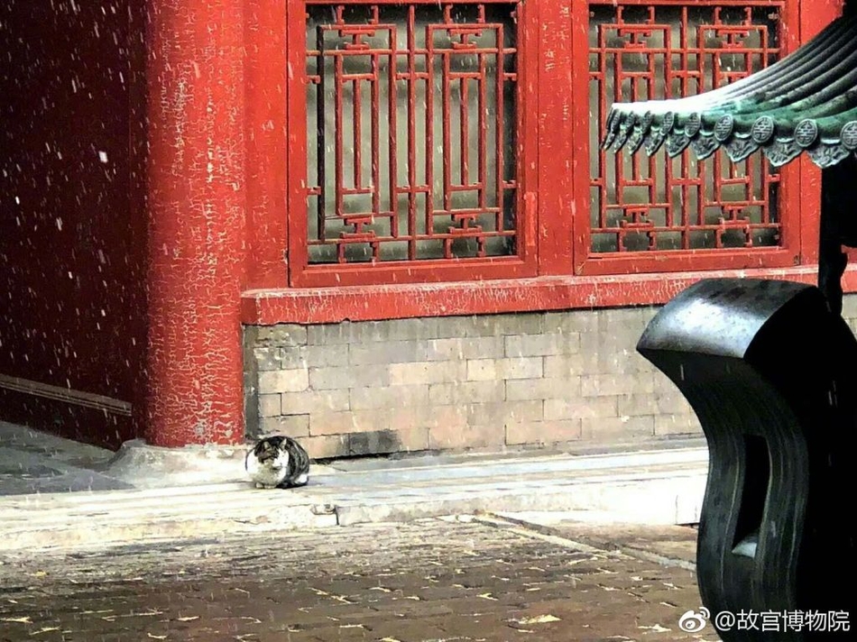 特黄老太婆AA毛毛片
