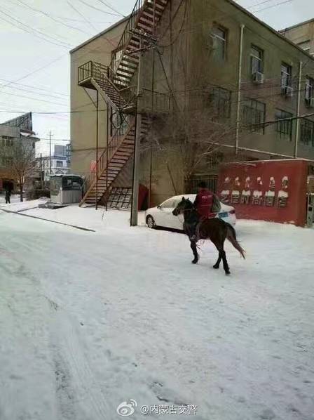 成人 8X