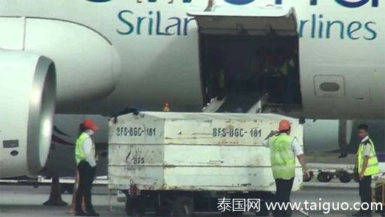 四虎影视成人精品一区