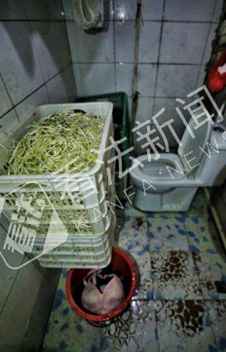 中国高清69   HD更