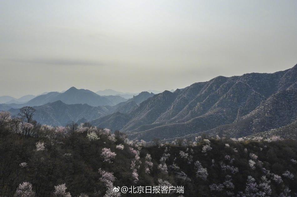 歐美陰毛多