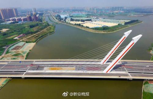 91麻豆视频