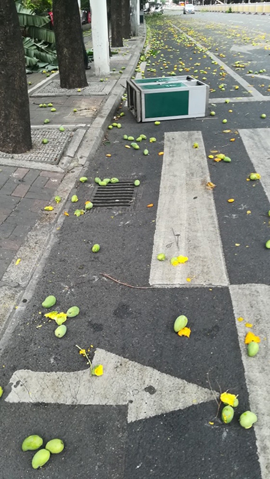国产学生无套进入jk是什么意思