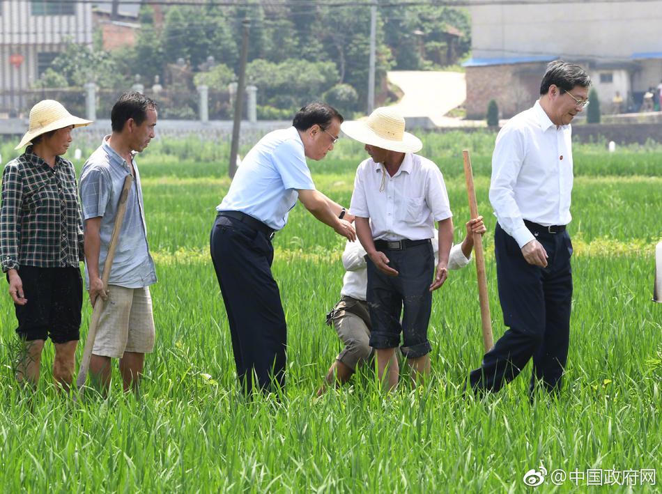 纲手鸣人本子