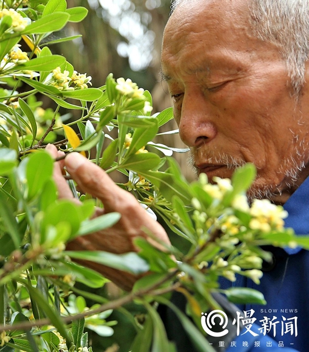 东北老妇按摩Xxxxxxx