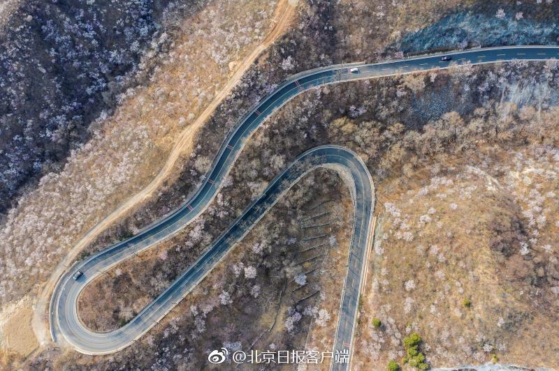 岳丰满肥大的白屁股
