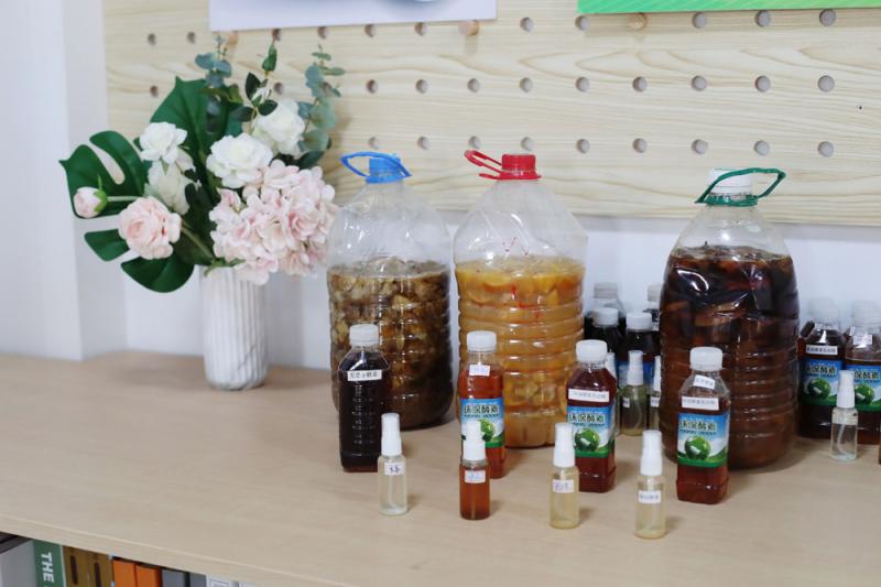 A级片视频网站免费