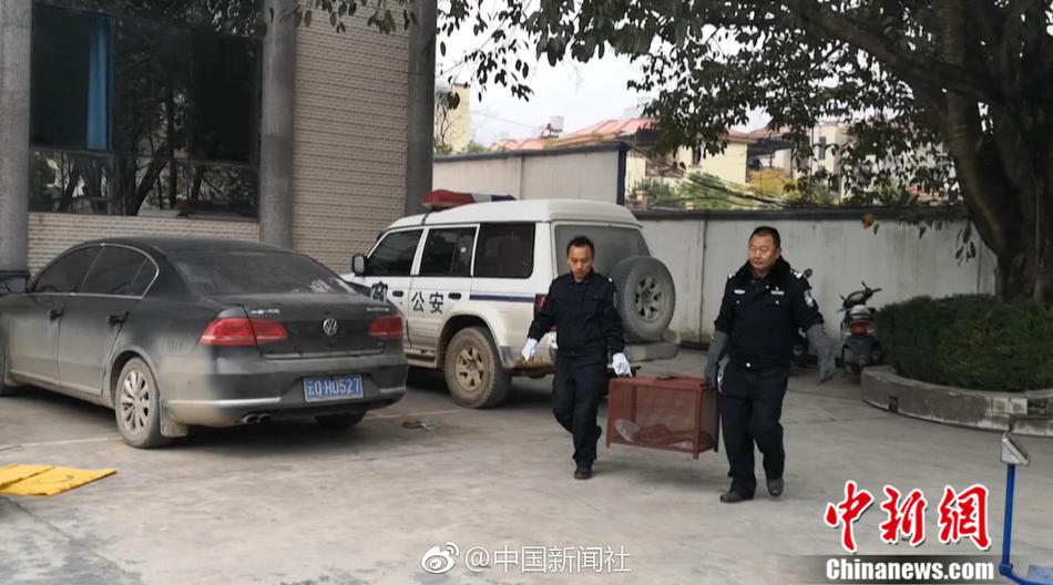 男生的 放男生的 游戏
