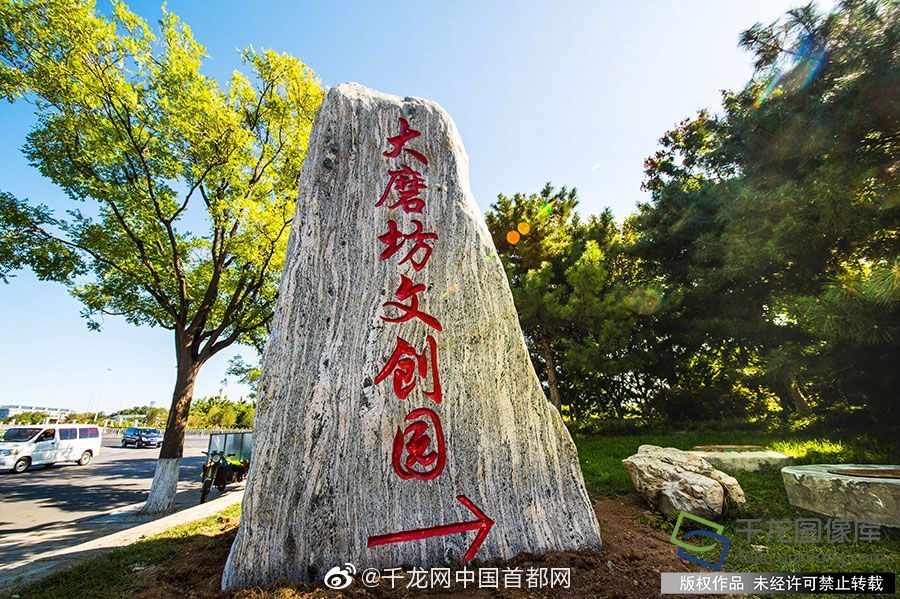 欧美兽交另类在线看