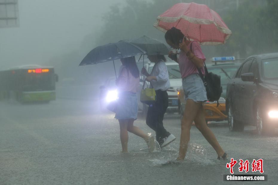 台湾氵级片网站