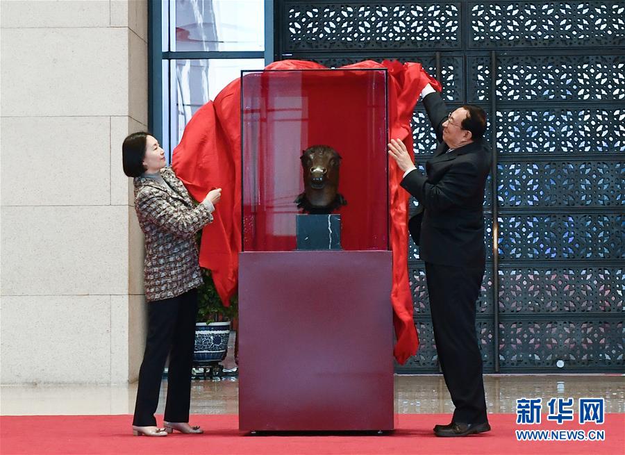 石黑京香大黑逼