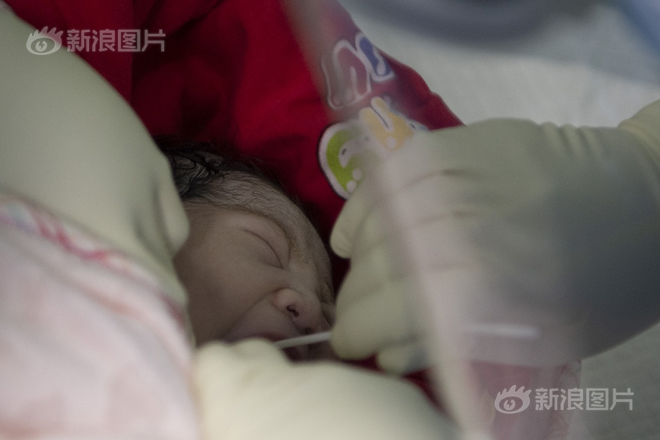 免费无遮挡 动漫