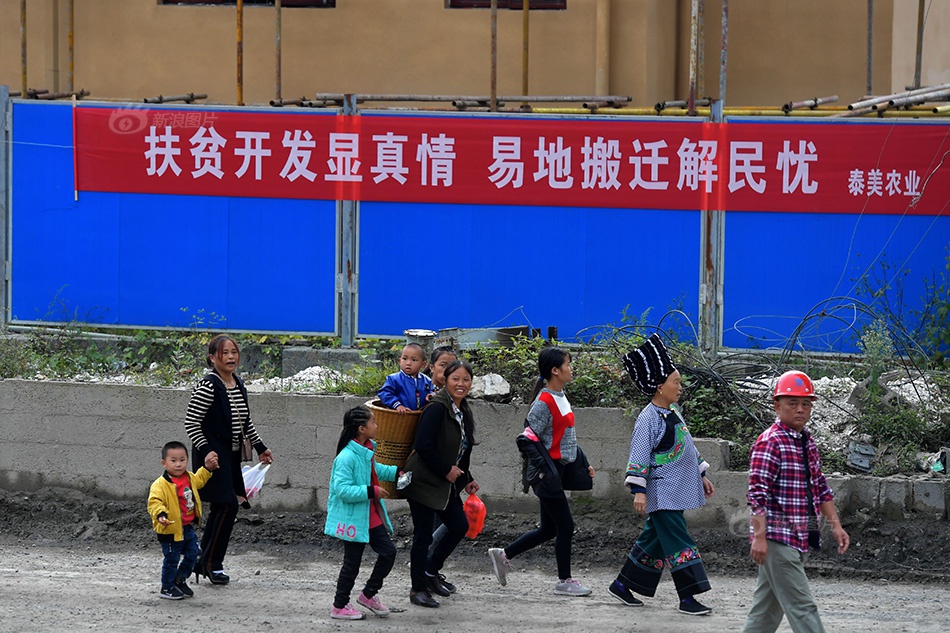 美國成人展