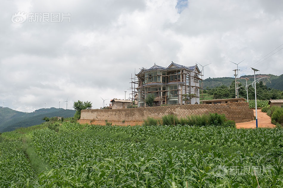 鍾淑慧