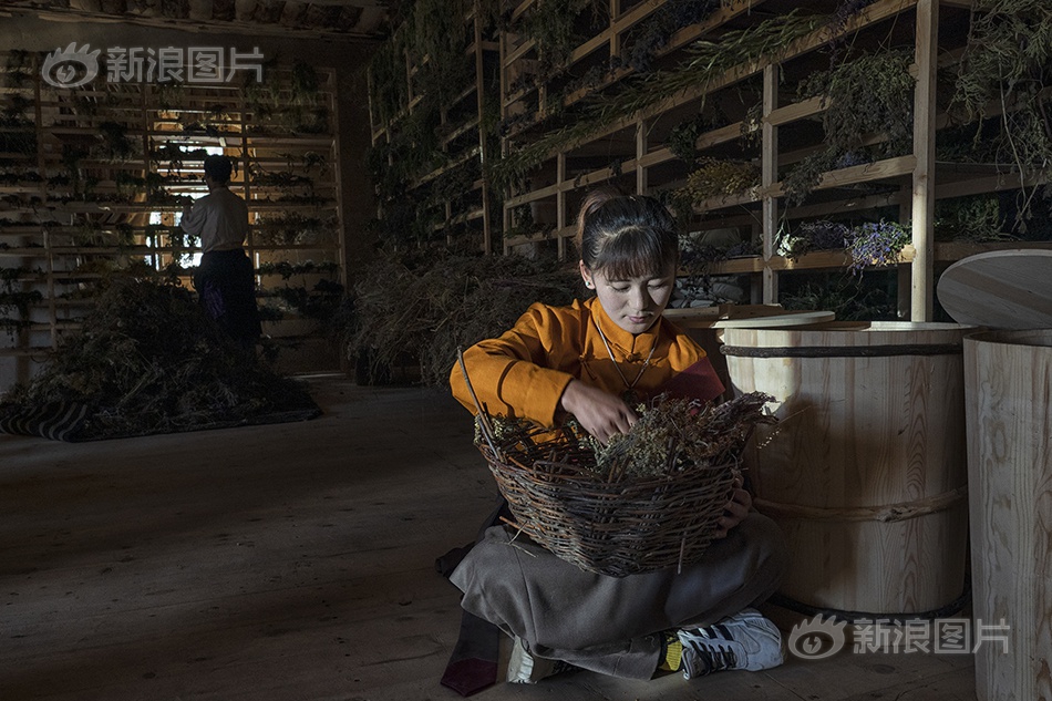爱情岛