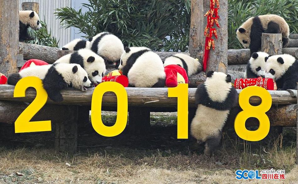 亚洲精品久久久久毛片A级达拉斯