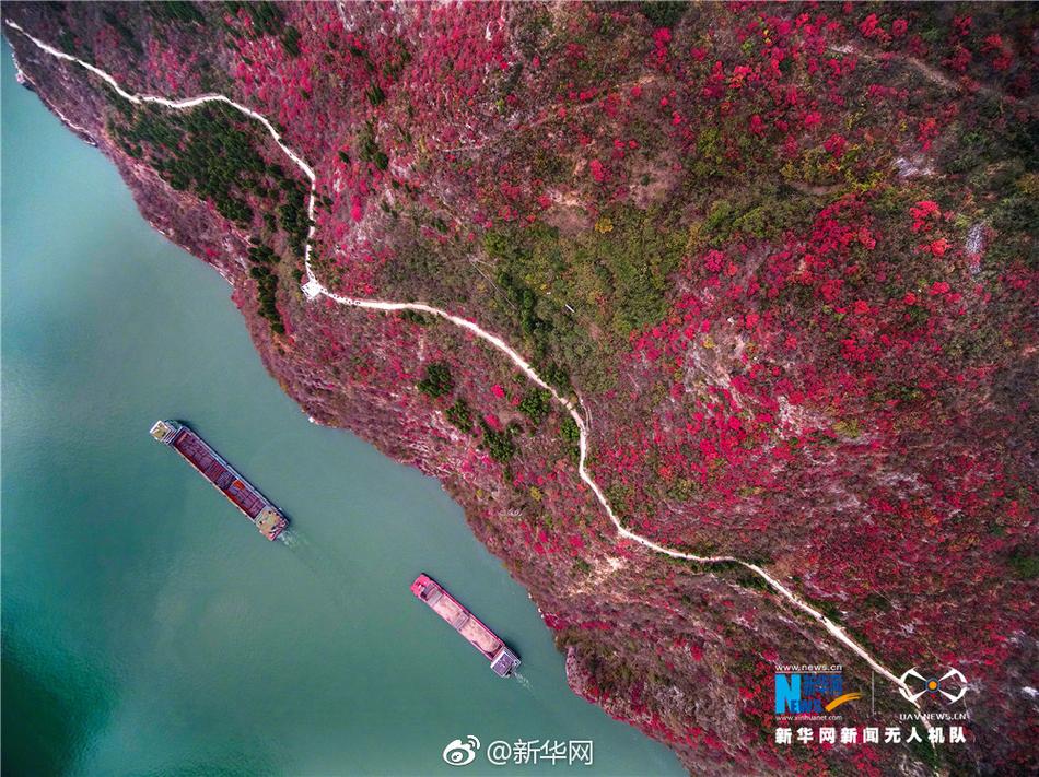卡通漫畫