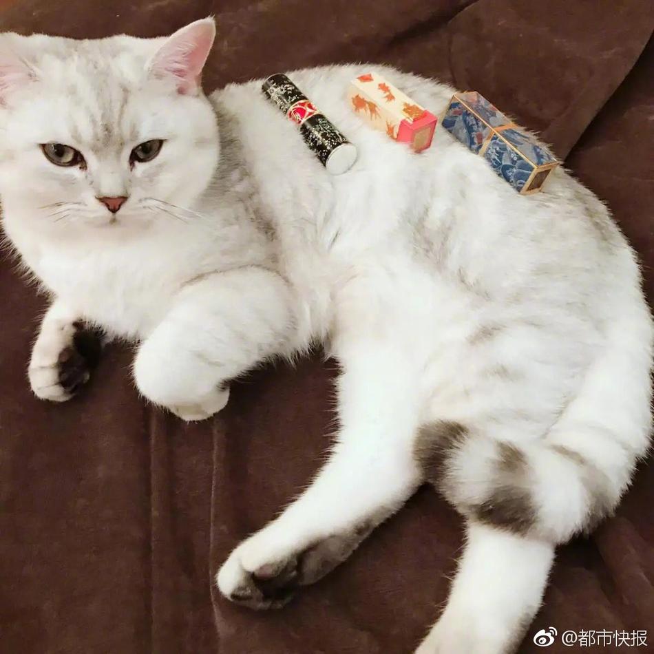 池上季実子