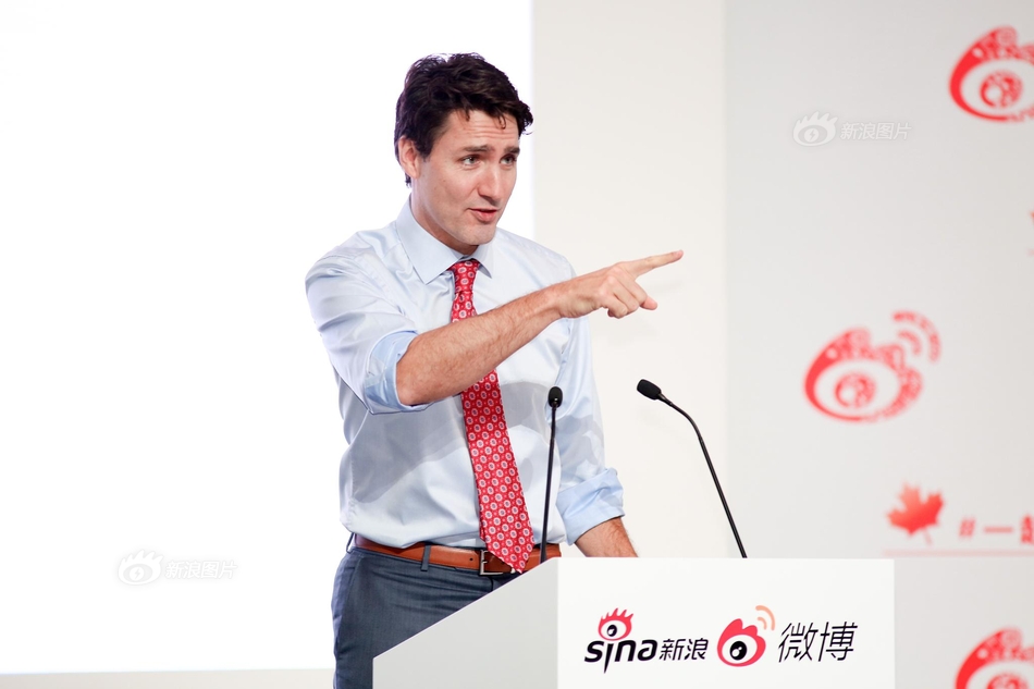 成人 色情 网