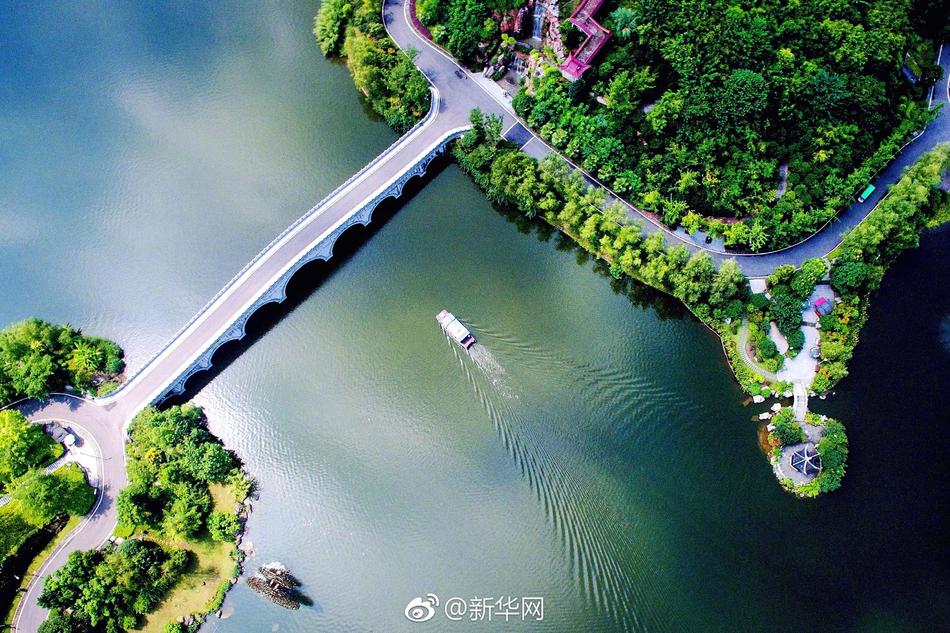 黄色 高清 电影