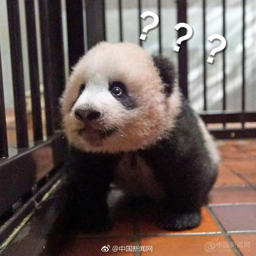 我和公大货车上第一次