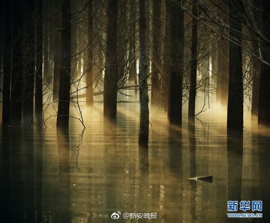 广东少妇被黑人疯狂进出