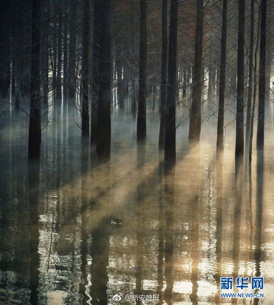 快色