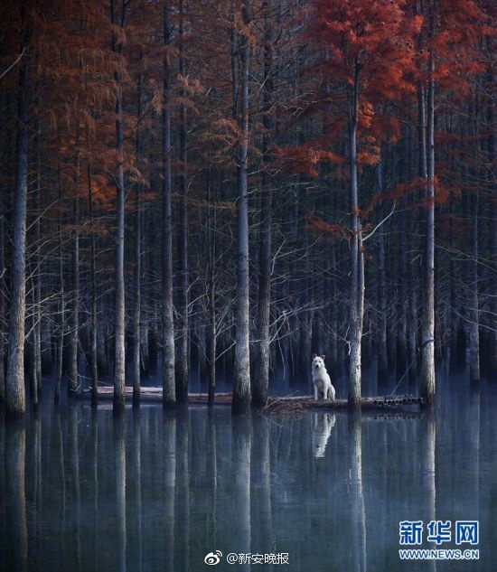 插屁眼