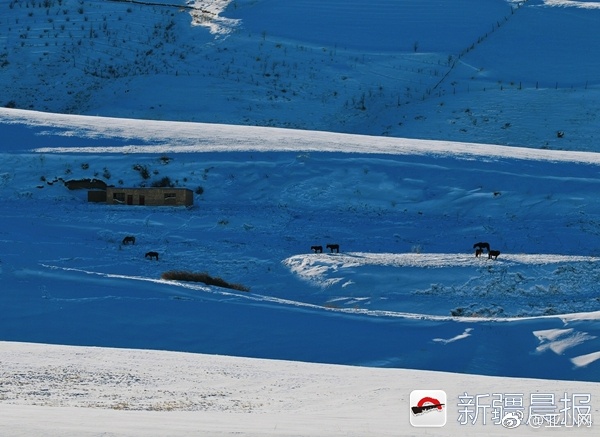 国产黄色视频线上无广告