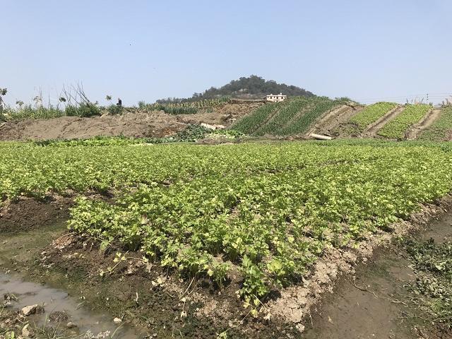 老帅黄片视频