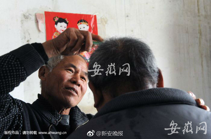 網紅押尾貓