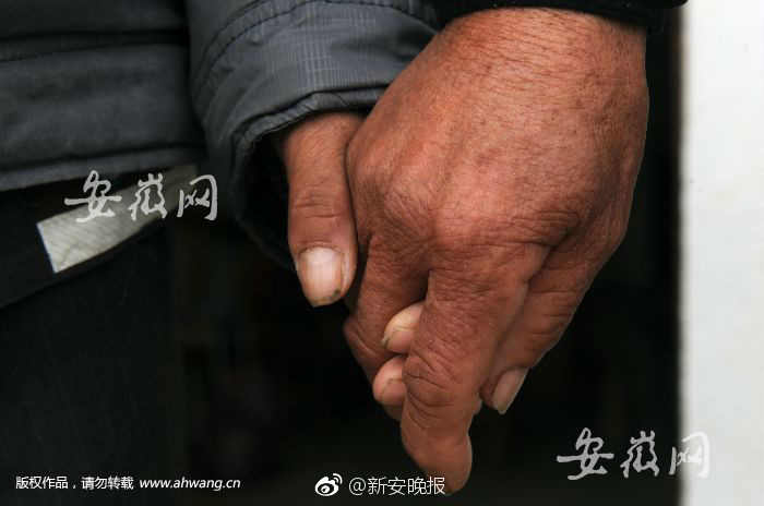 在线播放成人A片 麻豆网站