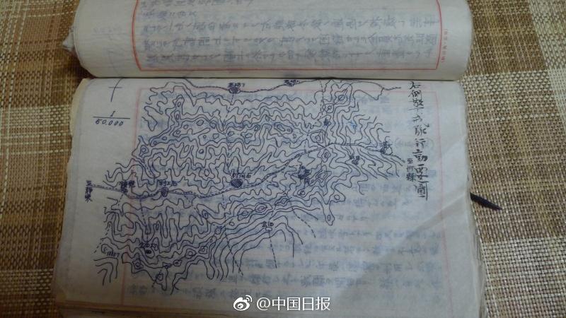 麻豆国产91 在线播放