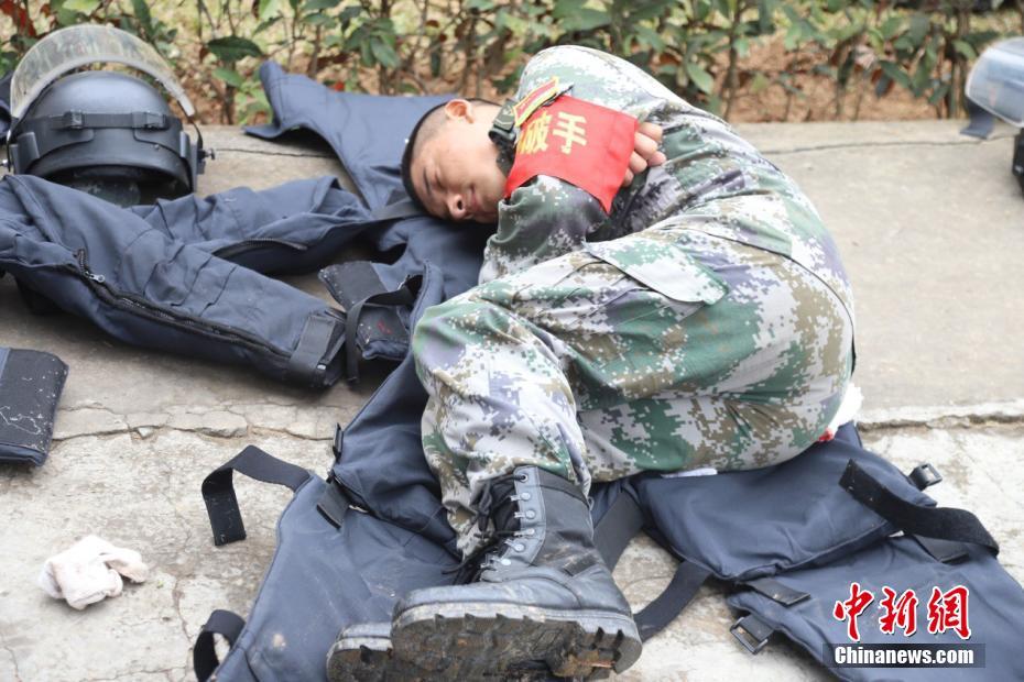 张津瑜国内精品www在线
