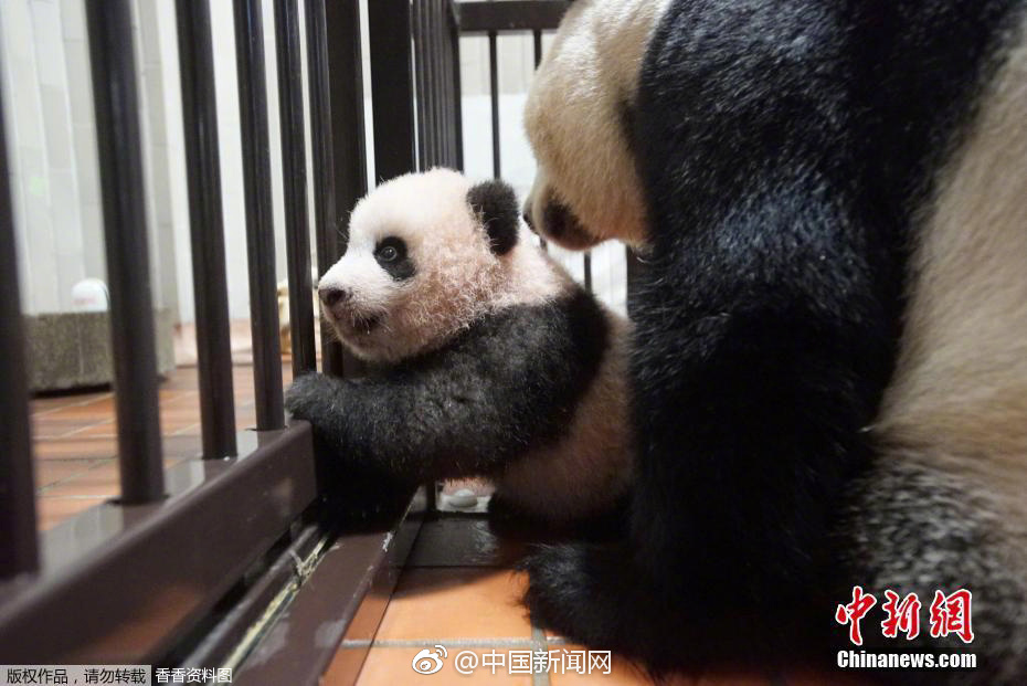 能看的黄色电影