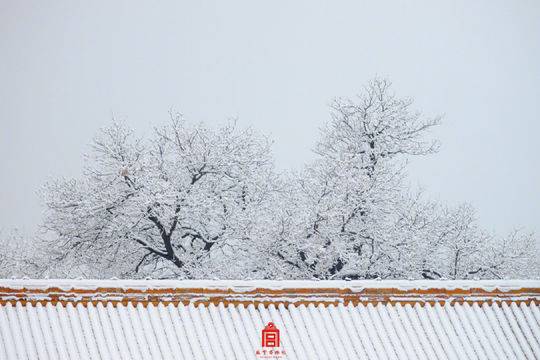 东京热成人版app下载