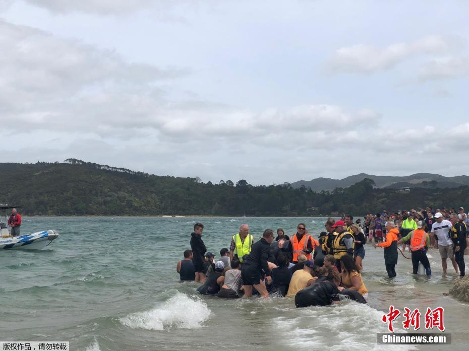 三级黄色片黄色视频中国人