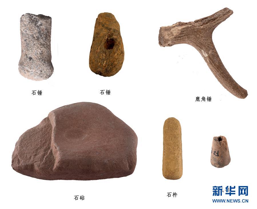 扒开胸罩疯狂揉搓奶头大尺度动漫
