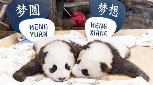 母子直播