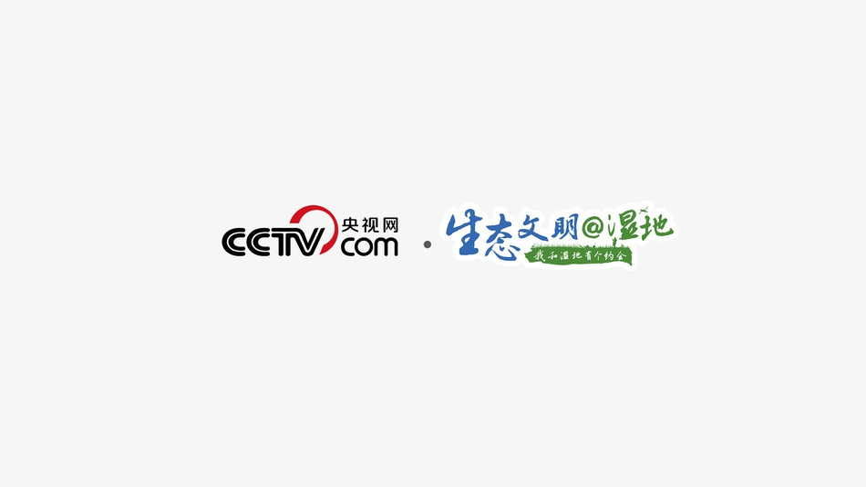 女性脱 给我揉 游戏