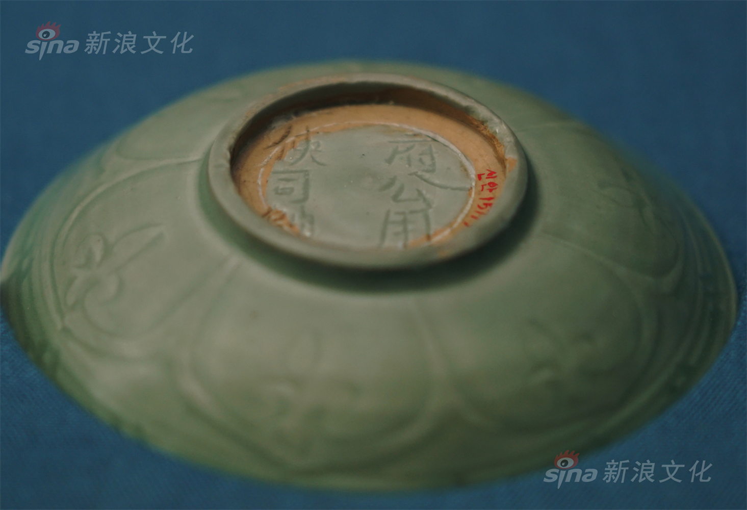 动漫女的被 到爽羞羞游戏