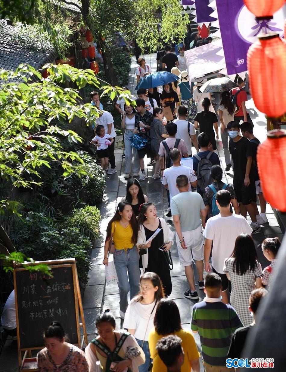 高清 成人 网