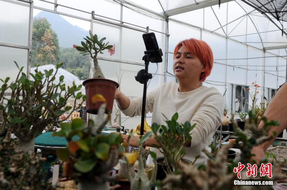 欧美成年人网