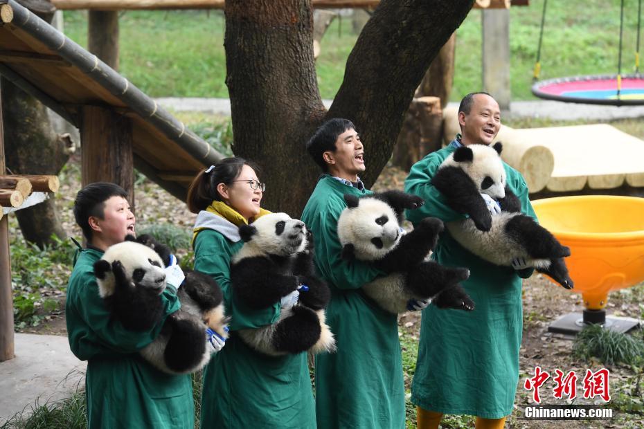 操老太屄免费影音