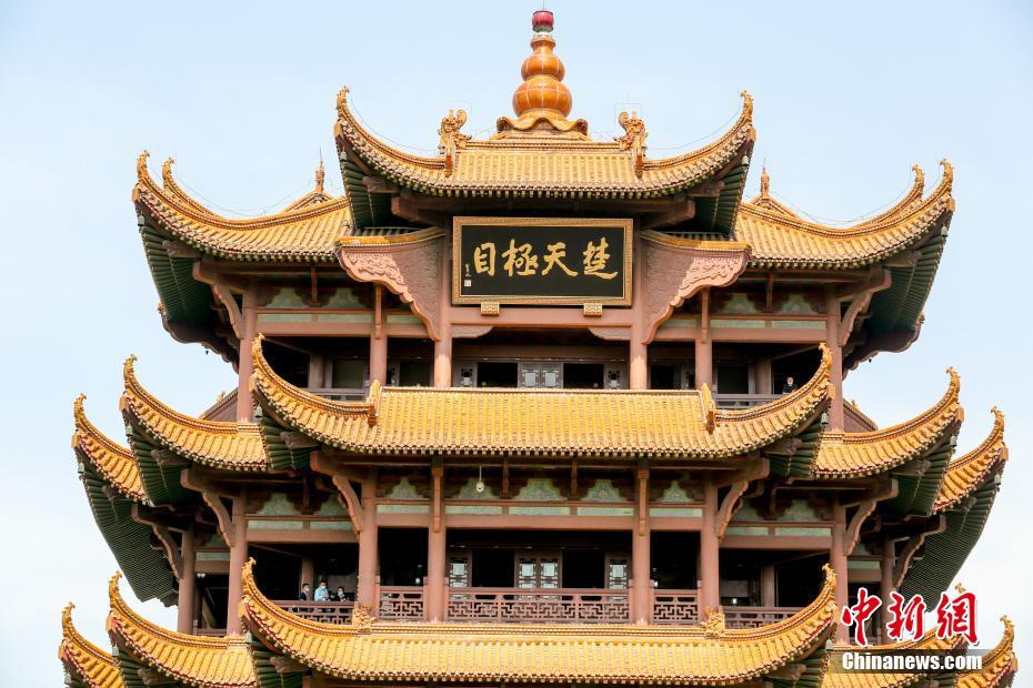 老狼信息网贰佰信息网大豆行情