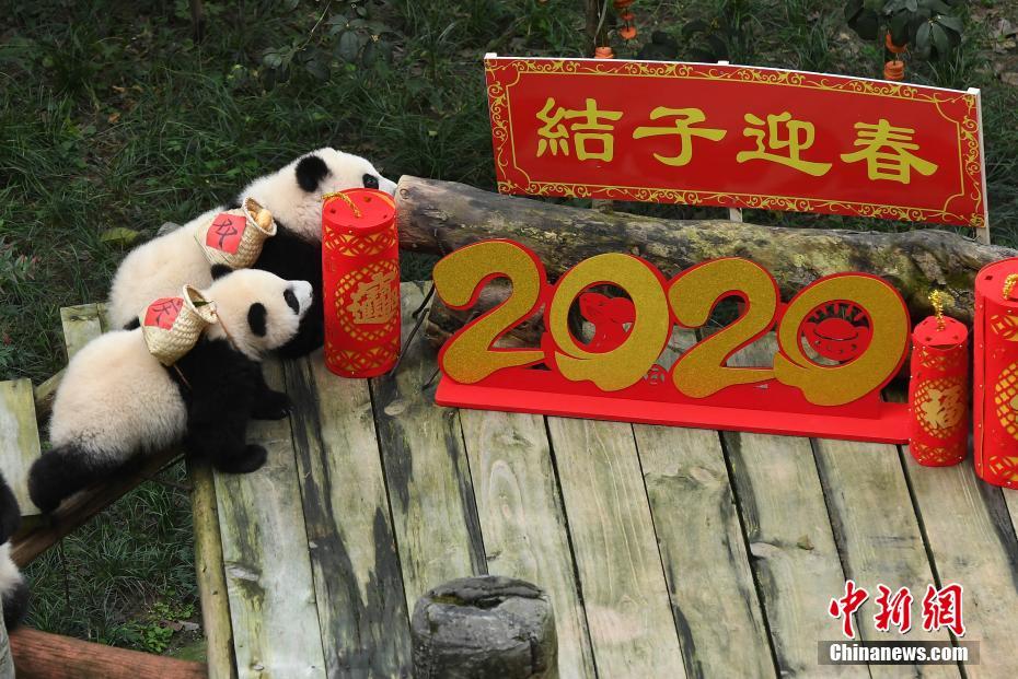矛盾大對決按摩棒