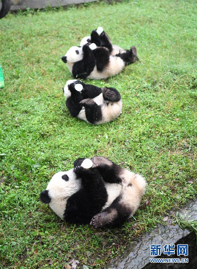 少婦裙底走光